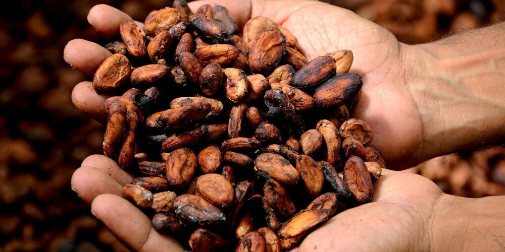 Новый тренд: масло какао как эффективное средство для похудения