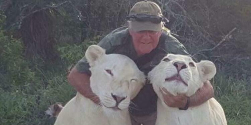 No savu mīļo lauveņu uzbrukuma mūžībā dodas Safari īpašnieks