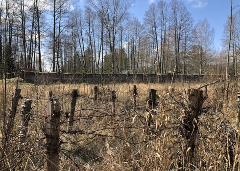 Apmēram šāds skats pavērās latviešu strēlniekiem, kad viņi devās uzbrukumā ienaidnieka pozīcijām.