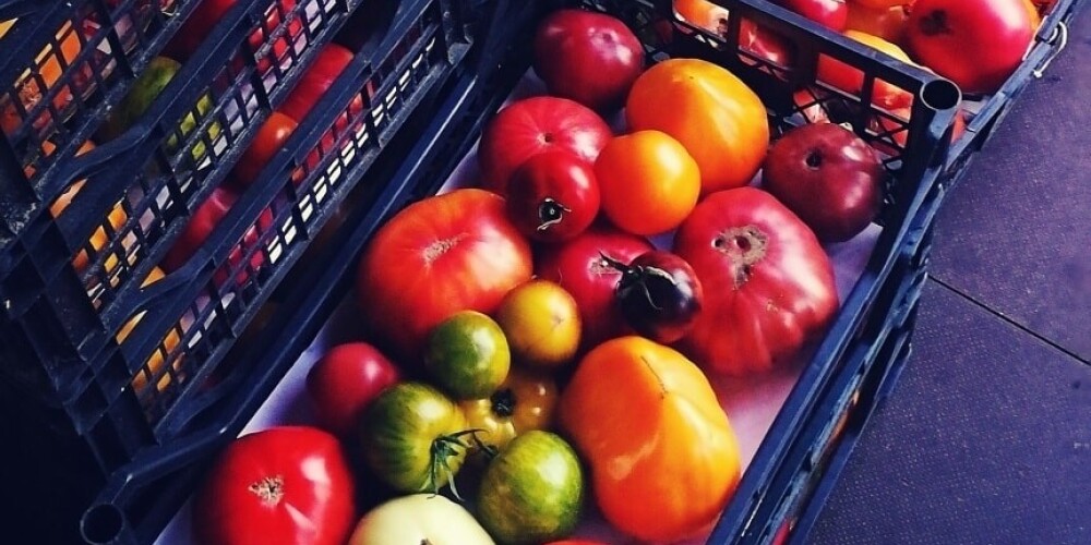 Interesants stāsts: kā latvieši izvēlas vislabākos tomātus