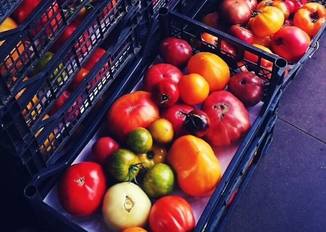 Interesants stāsts: kā latvieši izvēlas vislabākos tomātus