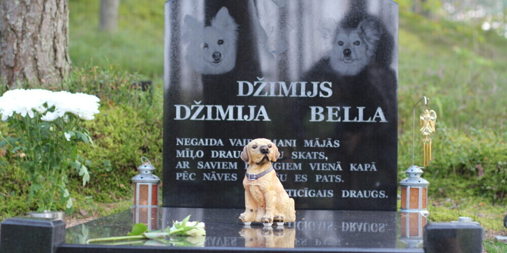 Похороны умершего животного: что можно и что нельзя по закону в Латвии?
