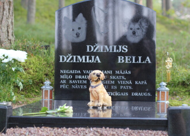 Похороны умершего животного: что можно и что нельзя по закону в Латвии?