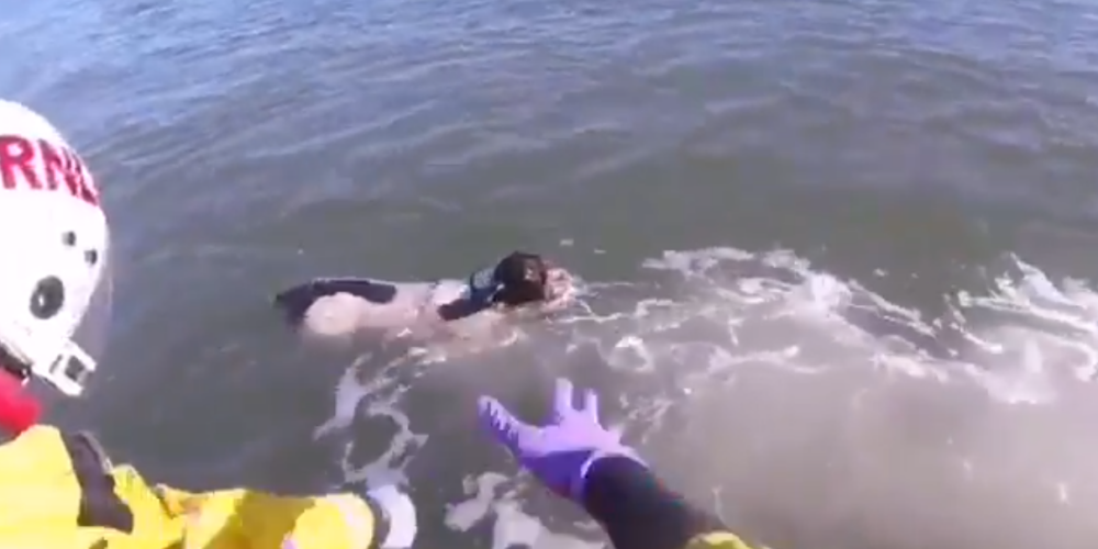 VIDEO: glābj suni, kurš, dzenājot kaijas, iepeldējis tām pakaļ jūrā