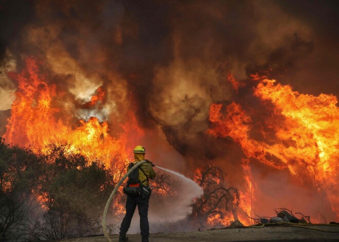 Par gaidāmo mazuli sajūsmināts pāris izraisījis postošu meža ugunsgrēku Kalifornijā