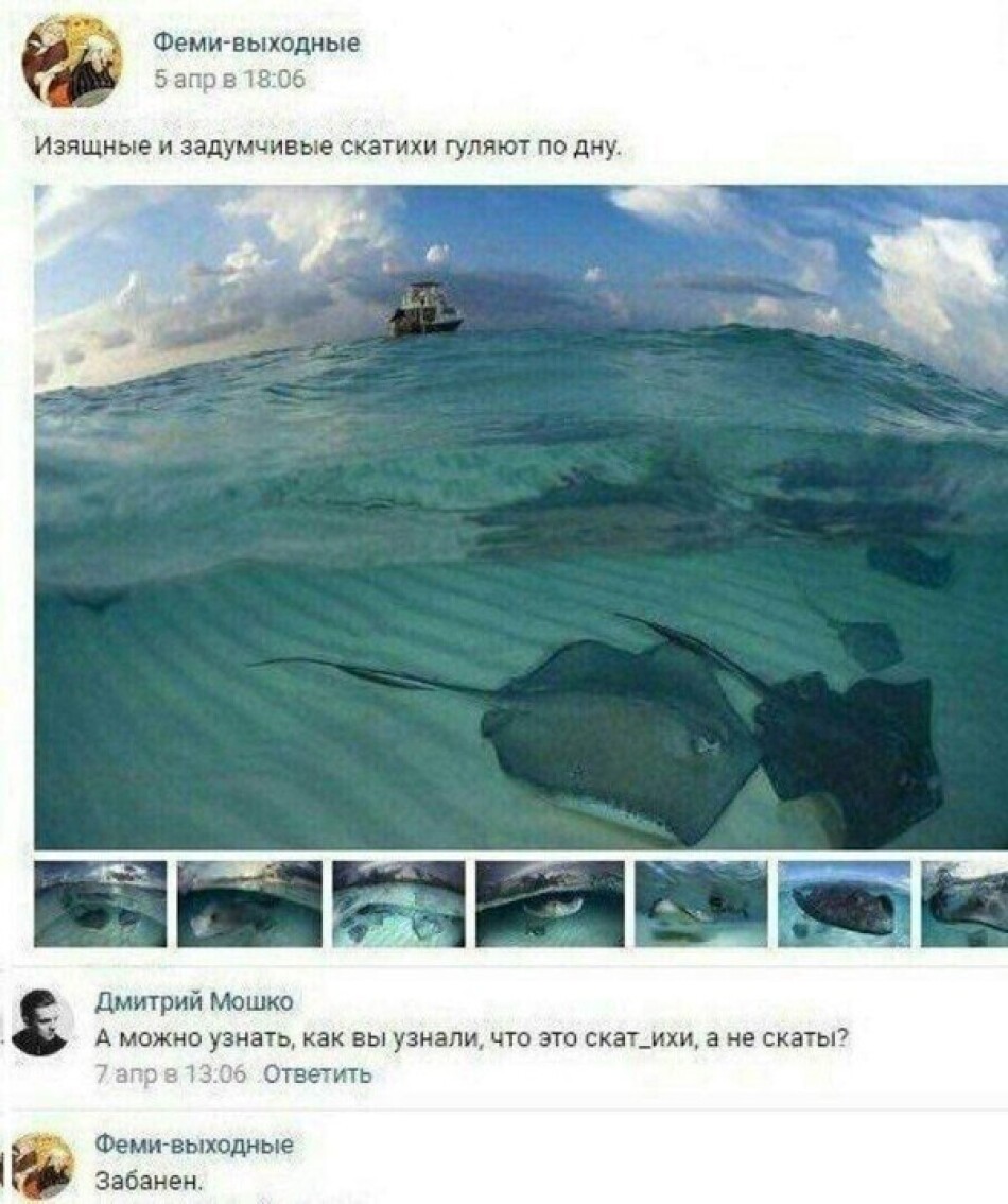 Шутка про ската