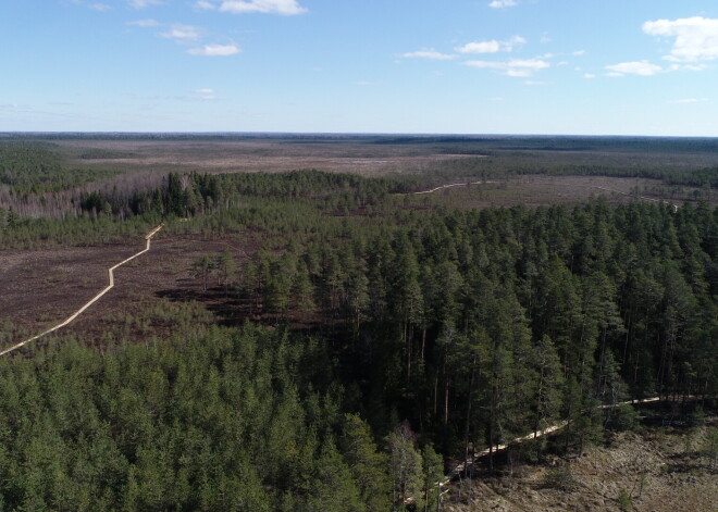 Lielie Kangari ir neparasts dabas objekts – lielākais osu valnis jeb grēda Latvijā, kā arī tāda paša nosaukuma dabas liegums. Tie atrodas Ropažu novadā un Ogres novada Suntažu pagastā 1972,4 ha platībā. 