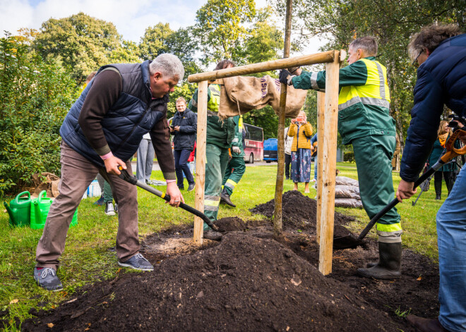 FOTO: iestādot pīlādzi, ieskandina Pasaules talku