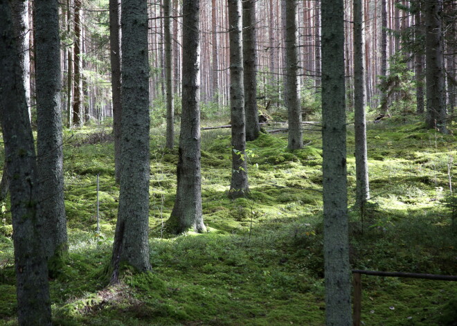 Laika prognoze pirmdienai