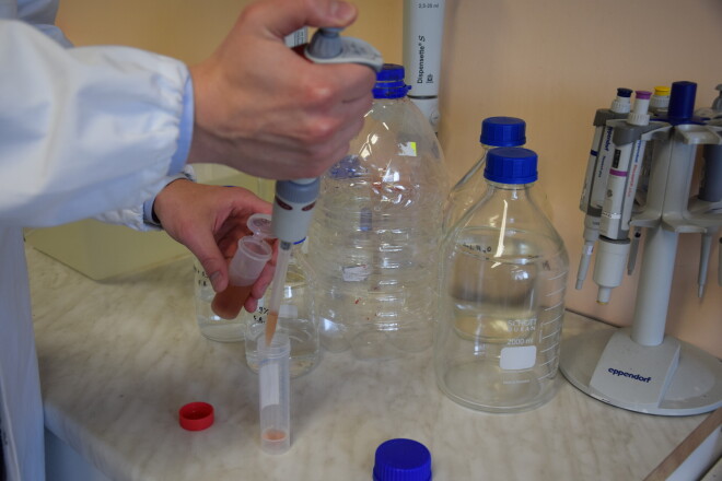 Zinātnieki teic, ka minerālmēslu piesārņojums augļos un dārzeņos nav nedz saožams, ne sagaršojams.