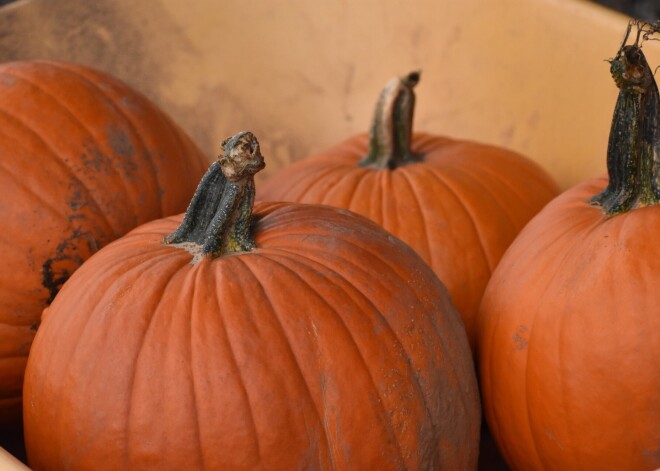 Pamatīgā rudens oga - ķirbis. Uztura speciālistes padomi, kā no tā iegūt vērtīgākās vielas