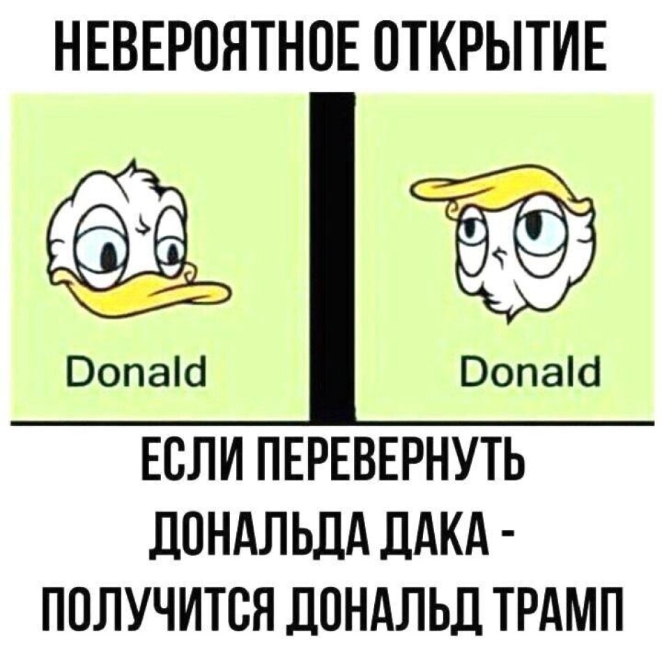 Если перевернуть Дональда Дака