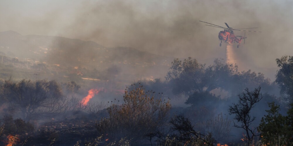 Grieķijas ugunsdzēsēji cīnās ar liesmām Atēnu piepilsētas mežā
