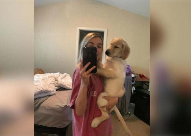 Meitene kopā ar suni uzņēma selfiju, nepamanot kādu niansi, kas lika no smiekliem raudāt