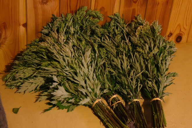 Pārsvarā pirtniece gatavo vībotņu slotiņas, kurām pieliek vēl kādus augus.