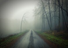 Иллюстративное фото