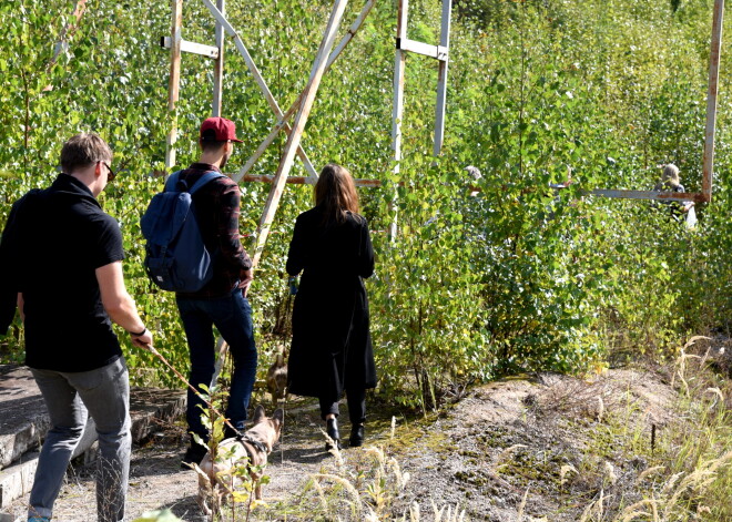 Iedzīvotājiem liela interese par dārziņiem Sporta pils vietā