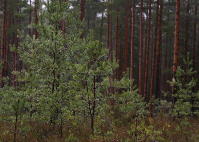 Jaunie tehnoloģiskie risinājumi turpmāk ļaus precīzāk noteikt 112 tālruņa zvanītāja atrašanās vietu