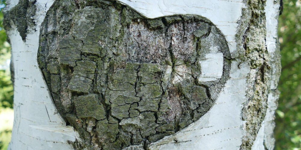 Иллюстративное фото