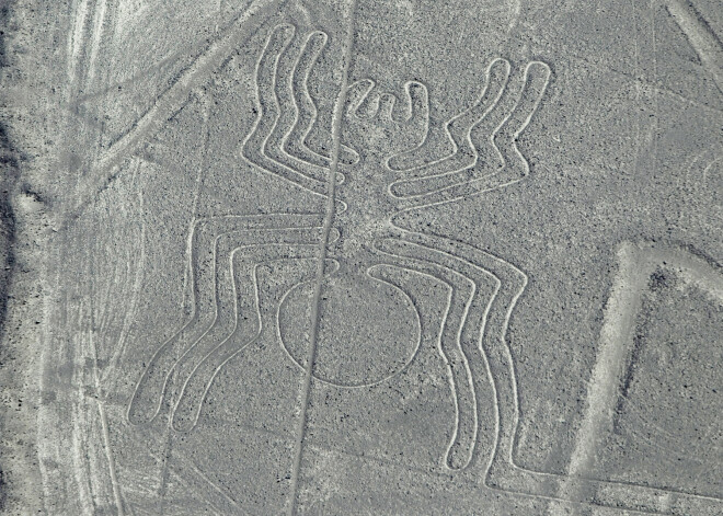 Naskas līnijas ir vairāki seni ģeoglifi Naskas tuksnesī Peru. Lielākās no figūrām ir pat 370 metru lielas. Tiek uzskatīts, ka tās izveidojuši Naskas kultūras pārstāvji laikposmā starp 500. gadu p.m.ē. un 500. gadu m.ē.  Figūras ir dažādas sarežģītības — daļa ir vienkāršas līnijas, daļa attēlo dzīvniekus un cilvēkus, vēl ir arī puķu un koku zīmējumi.