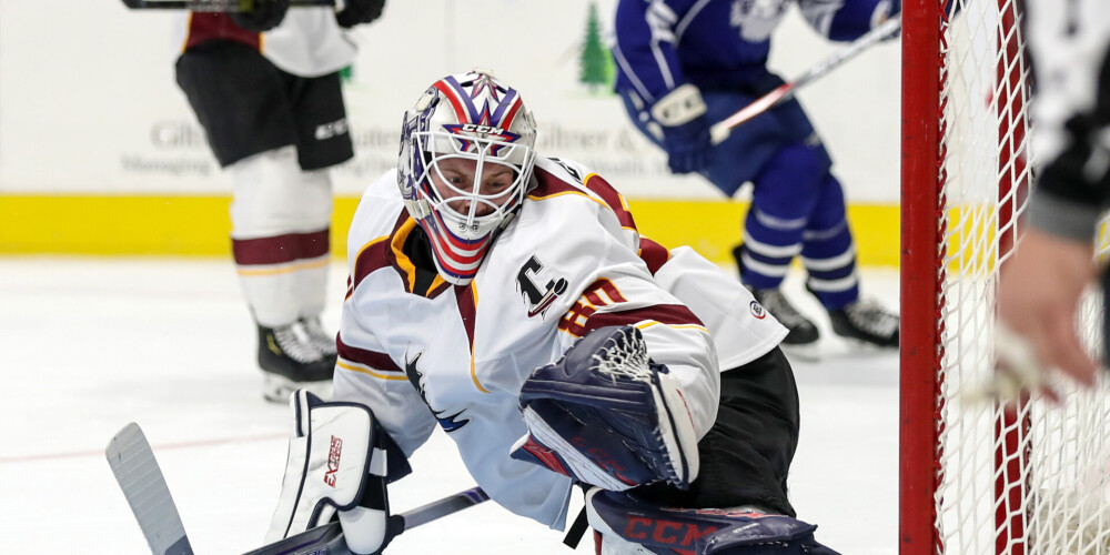 Amerikas hokeja līga ir viena no spēcīgākajām Ziemeļamerikas profesionālajām hokeja līgām aiz Nacionālās hokeja līgas (NHL), kurā spēlē divdesmit septiņas Amerikas Savienoto Valstu un četras Kanādas hokeja komandas. Šī līga darbojas kā NHL atbalsta līga, jo visi tajā spēlējošie hokeja klubi ir NHL komandu fārmklubi. Līga uzsāka savu pirmo sezonu 1936. gadā. AHL birojs atrodas Springfīldā, Masačūsetsas štatā. Klubs, kas uzvar izslēgšanas spēlēs, saņem Kaldera kausu. Šis kauss nosaukts par godu NHL pirmajam prezidentam Frenkam Kalderam. Vienpadsmit reizes Kaldera kausu ir ieguvusi komanda Hēršijas "Bears".