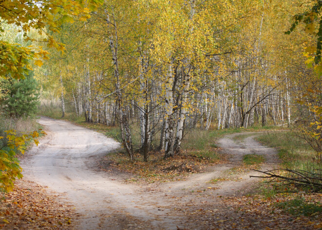 Krustceles, krustojumi un to maģiskā enerģija. Latviešu ticējumi par krustcelēm