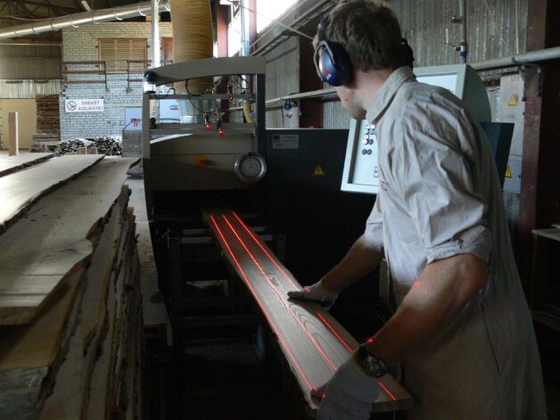 Ozolkoka parkets Rīgā, Ausekļa ielā 14.