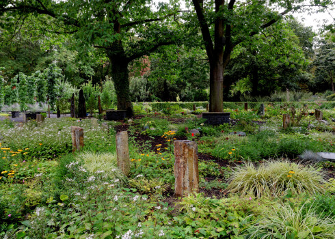 Vācijā kapsētas pārtop dabas oāzēs. Te ir vieta gan ķirzakām, gan ežiem, gan putnu un lapseņu ligzdām