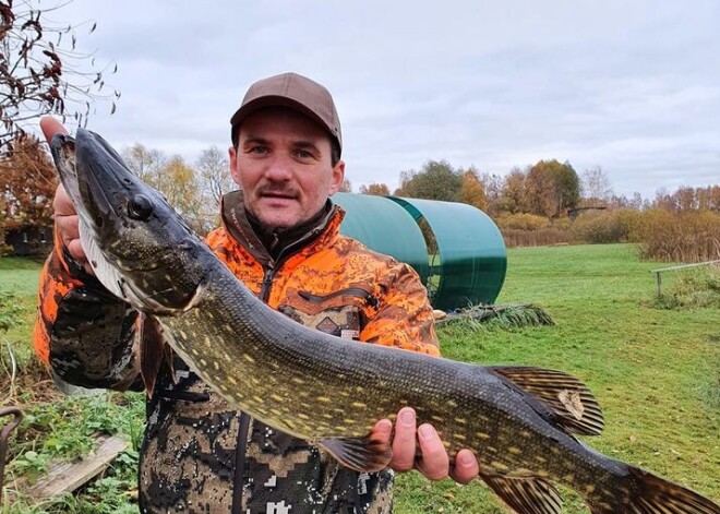 Makšķernieku varenie lomi - Lembergs, Grāvelis un Veits lepojas ar noķertajām līdakām