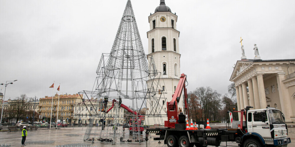 Немного радости в дождливом ноябре: в Вильнюсе ставят большую рождественскую ель