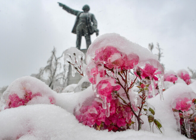 FOTO: pēkšņas stihijas dēļ Vladivostoka burtiski iesalusi ledū