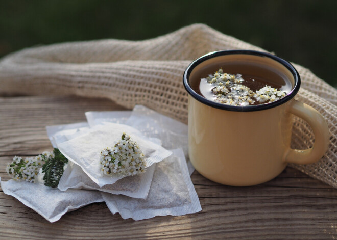 Заварите себе и близким настойку из целебных трав: приметы и обычаи на 22 ноября