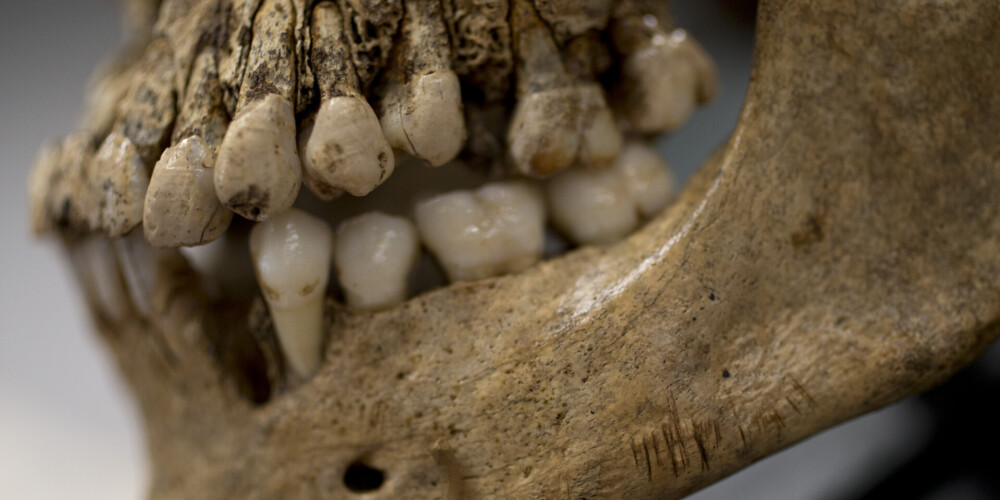 Учителя-каннибала отыскали по следам зубов на костях