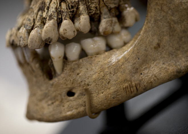 Учителя-каннибала отыскали по следам зубов на костях