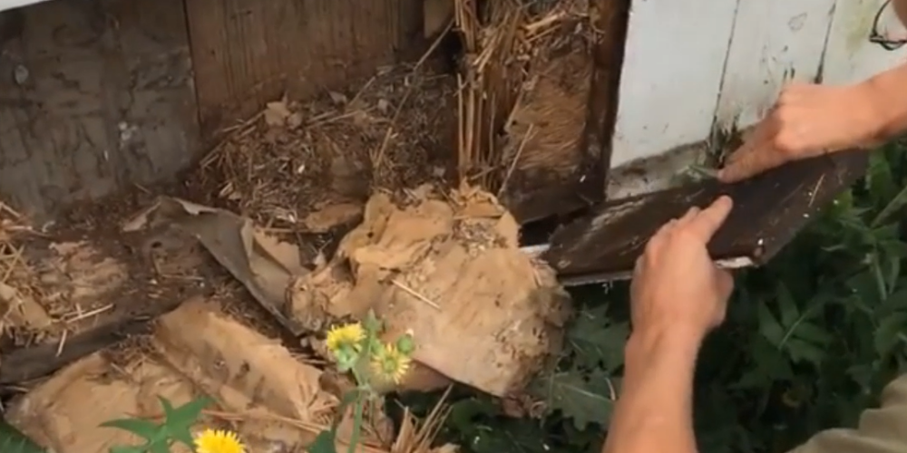 Atradumi senas koka mājas sienās apstiprina ASV mazpilsētā klīstošu leģendu