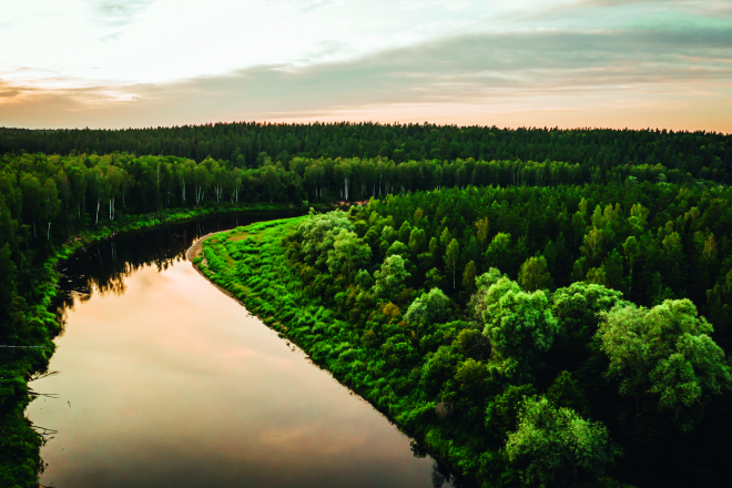 Latvijas lielā bagātība - mežs.