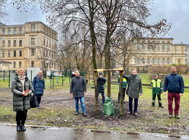 Neatkarības ozolu aleju papildina Blīdenes kokaudzētavas dāvātie ozolu dižstādi. Bildē Blīdenes kokaudzētavas vadītāji kopā ar Rīgas dārzniekiem.