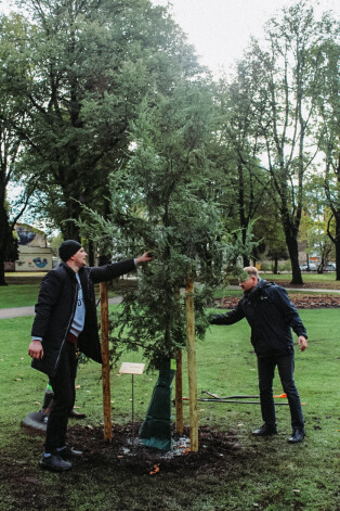 Uzņēmuma “Skonto Apsardze” dāvinājums - Kanādas hemlokegle Ziedoņdārzā.