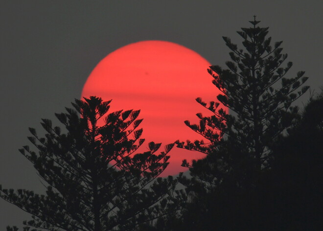 Jaunzēlande izsludina ārkārtējo stāvokli klimata jomā