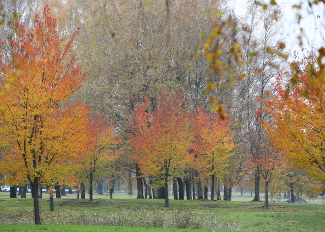 Pārspēti 134 temperatūras rekordi: šī gada rudens kļuvis par siltāko novērojumu vēsturē