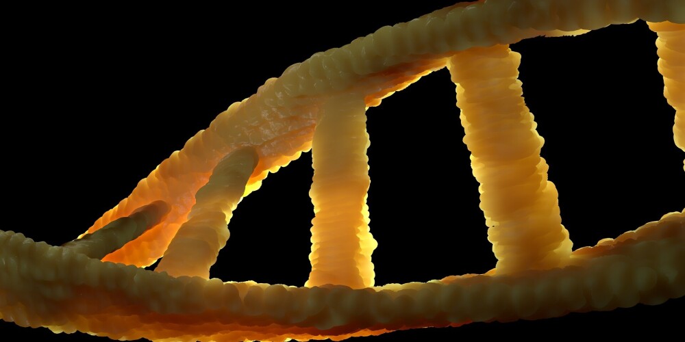 Jaunā pētījumā atklāts, ka DNS nedarbojas tā, kā līdz šim uzskatīts