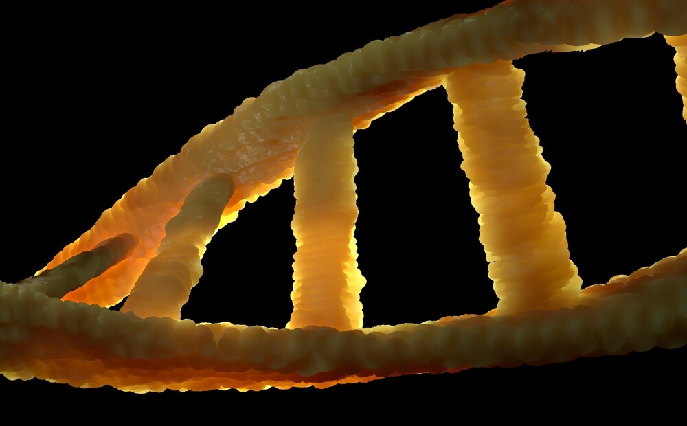 Jaunā pētījumā atklāts, ka DNS nedarbojas tā, kā līdz šim uzskatīts