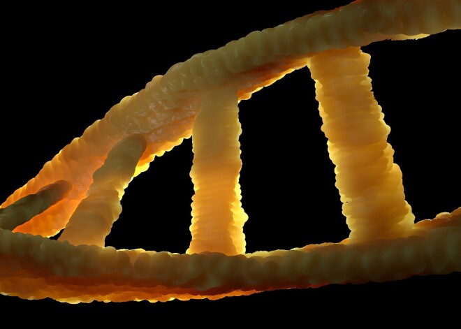 Jaunā pētījumā atklāts, ka DNS nedarbojas tā, kā līdz šim uzskatīts