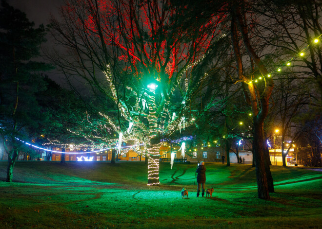 18.12.2020. "Zvaigžņu dārzā" Sarkandaugavas kalna parkā.