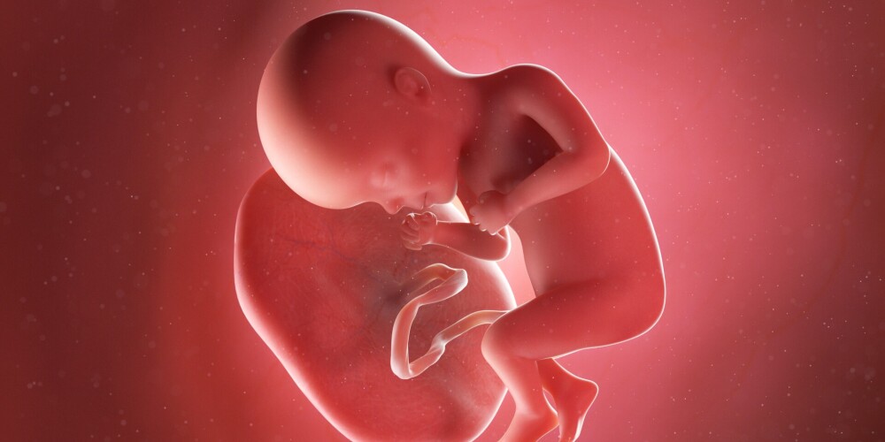 Bažas raisošs atklājums: nedzimuša mazuļa placentā pirmo reizi atrastas mikroplastmasas daļiņas