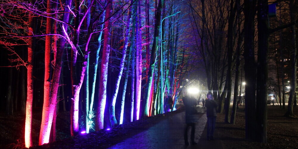 Включено праздничное освещение Бикерниекской лесной аллеи и парка Анниньмуйжас