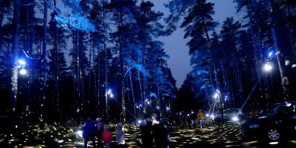 В новогодний вечер освещение в парках Риги будет работать до 18 часов