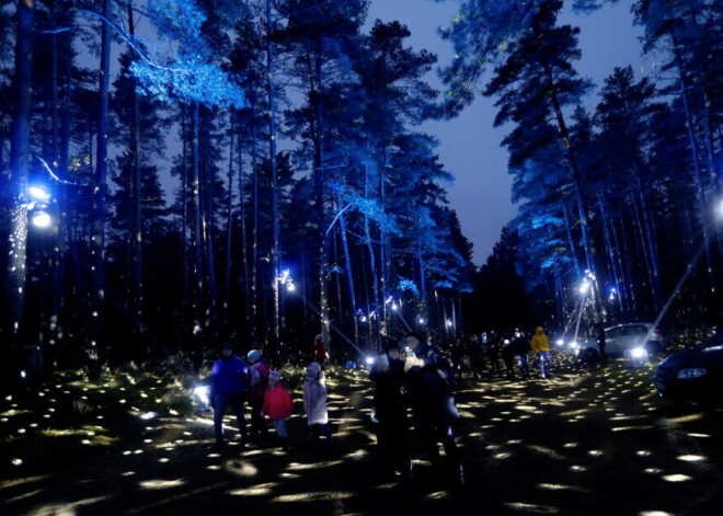 В новогодний вечер освещение в парках Риги будет работать до 18 часов