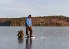 Иллюстративное фото