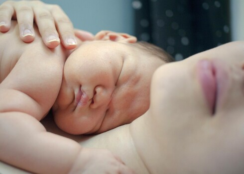 Иллюстративное фото